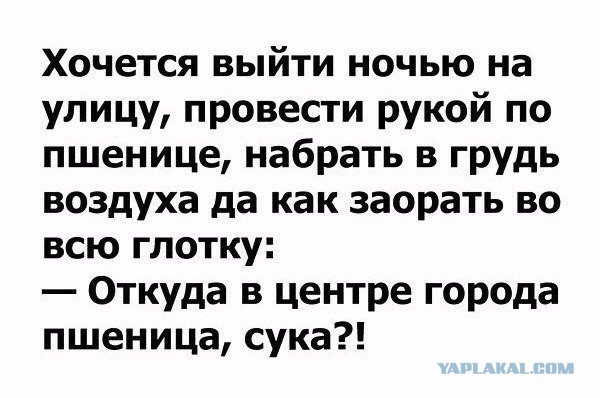 Чёрным по белому. Порция перлов и высказываний.