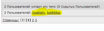 Кошка напала на человека