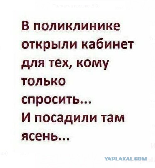 Смешные комментарии из социальных сетей 22.02.2018