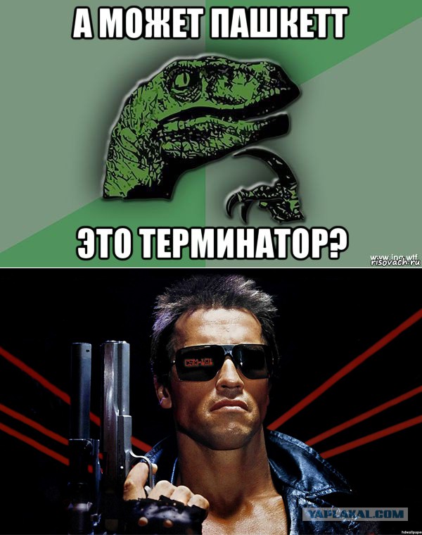 Юмор о Пашкете (для тех кто в теме)