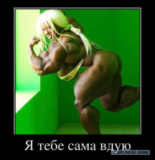 Как выглядят мужья накачанных женщин