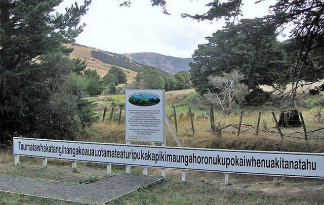 Немного юмора, гуманитарного