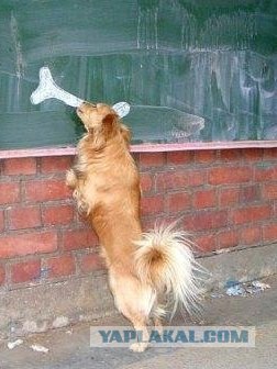 Он явно что-то замышляет