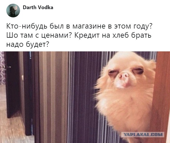 Немного картинок для настроения
