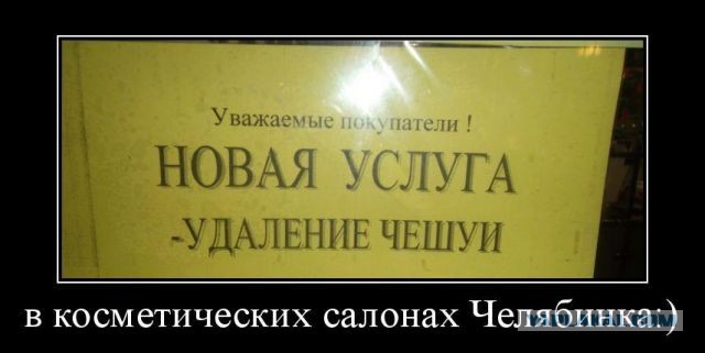 Рыбку и Лесли задержали прямо в Шереметьево!
