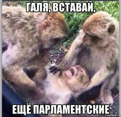 Выборы на Украине, разлет