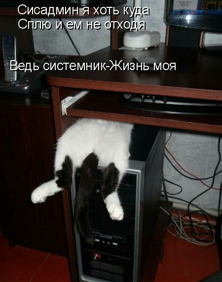Опять картинок