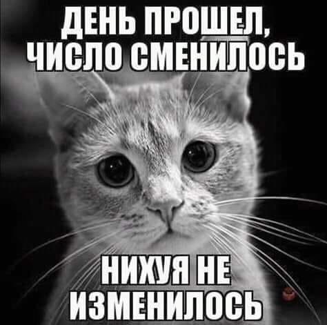 Первые "Жигули" прибыли в Москву