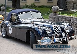 Бойцовский Клуб Jaguar