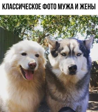 Так себе картинки 29.06.20