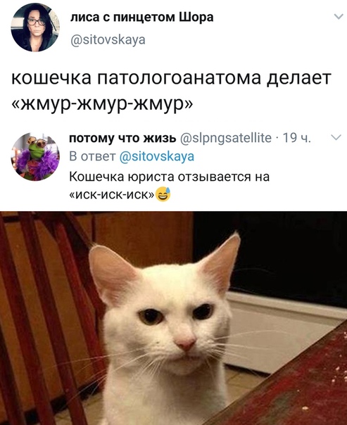 Немного картинок для настроения 30.06.20