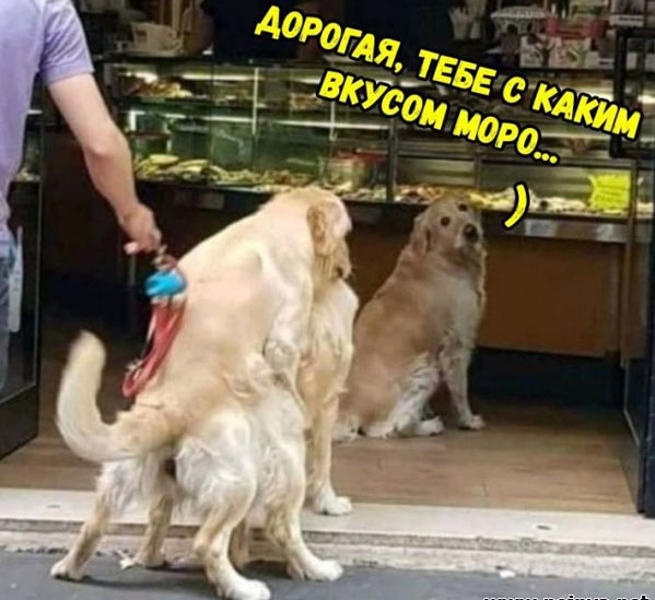Пятница. И немного слегка пошлых картинок с надписями и без 16+ (24.07)