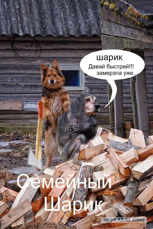 Каникулы в Простоквашино