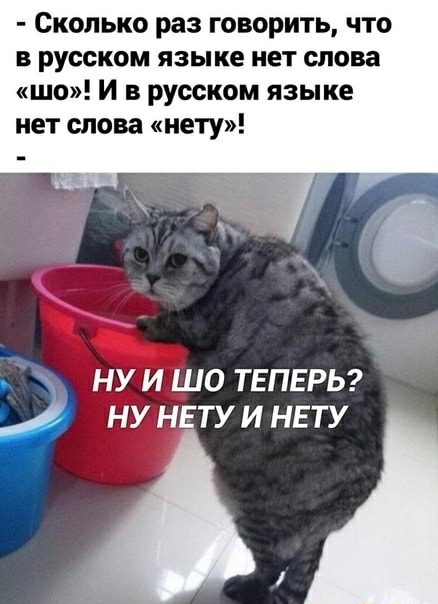 Домик с видом на море