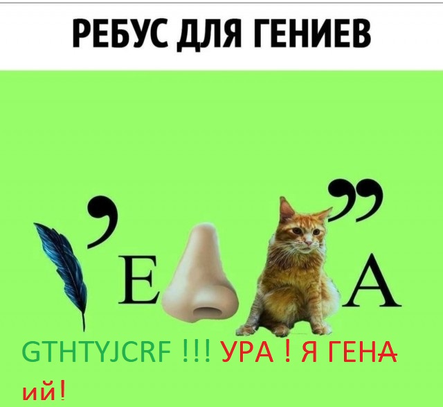 Бредзона 11.11.2020