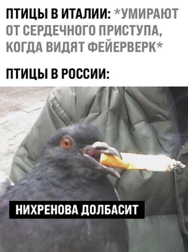 Картинки с надписями и всякие жизненные фразы 6.01.2021