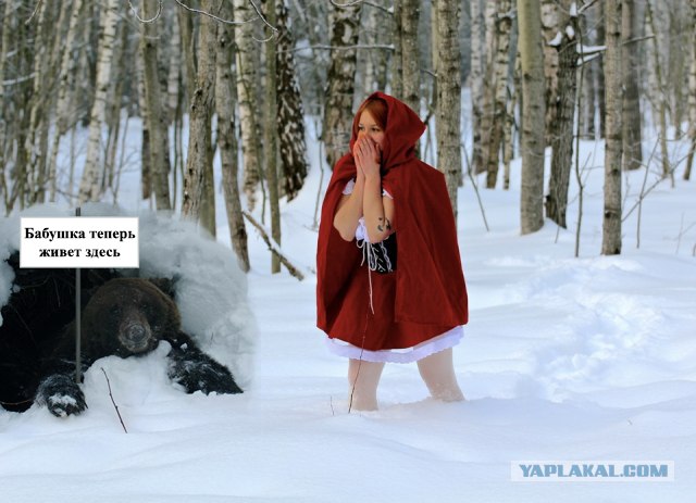 Фотожаба: "Заплутала"