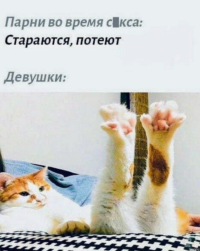 Картинки и мемы для настроения 002