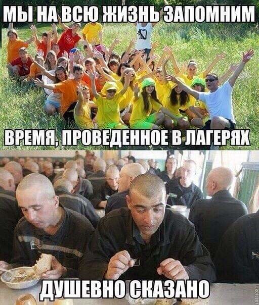 Почему я никогда не отправлю своих детей в летний лагерь