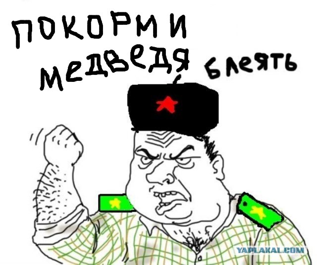 Медведь на проходной