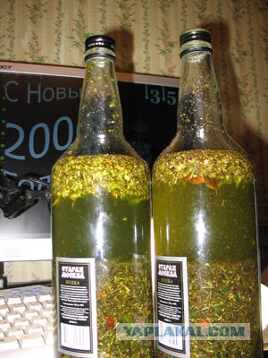 Про водку, горилку, самогон!