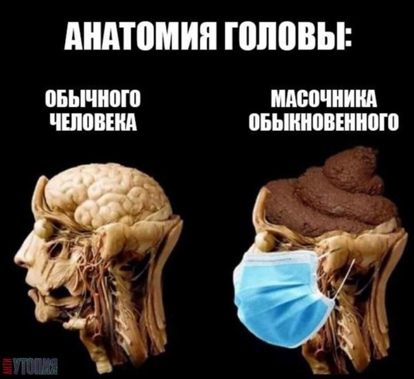 "Почему я не буду прививаться от Ковида (пока)" Кирилл Зверев, сын академика РАН и РАМН Виталия Зверева