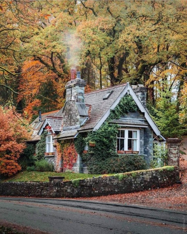 Картинки и мемы для настроения 05.08.2021