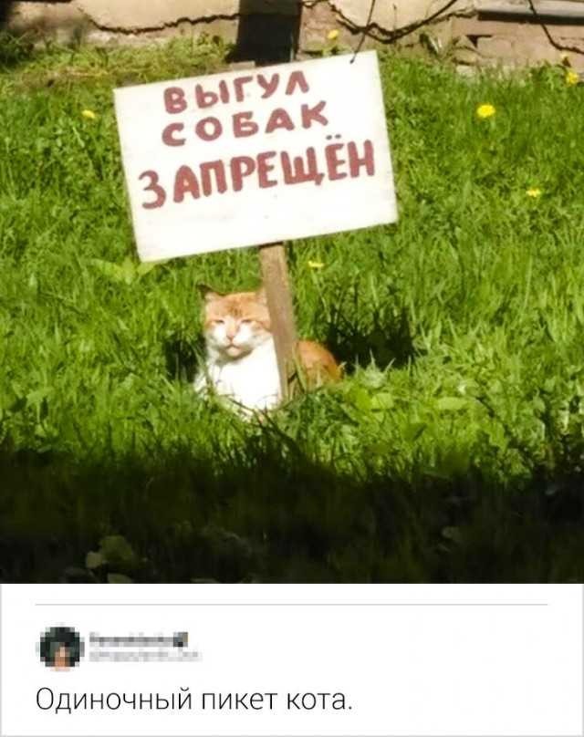 Баяны бабыЯны