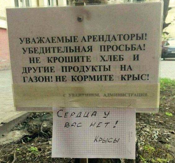 Баянисто-небаянистый юмор 11.01.22