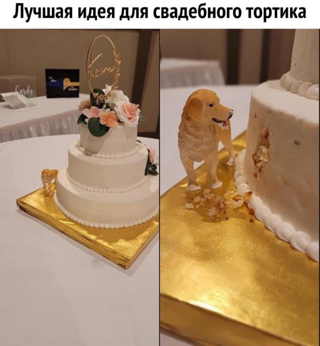 Картинки и мемы для настроения  - 27