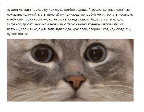 Весёлый полтишок 26.01
