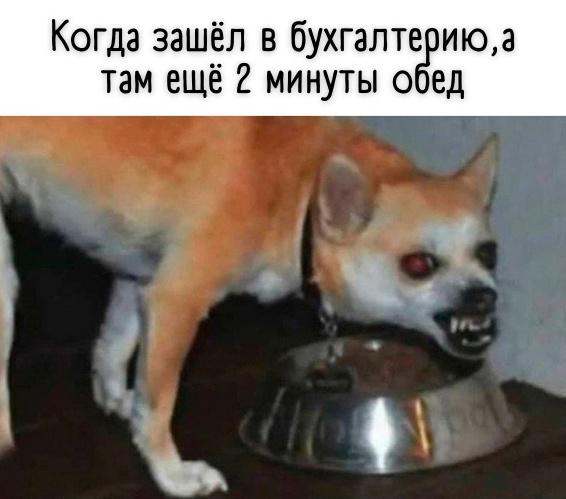 Так себе картинки 11.02.22