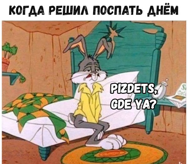 На мемы надейся, а сам не плошай! 12.02.22