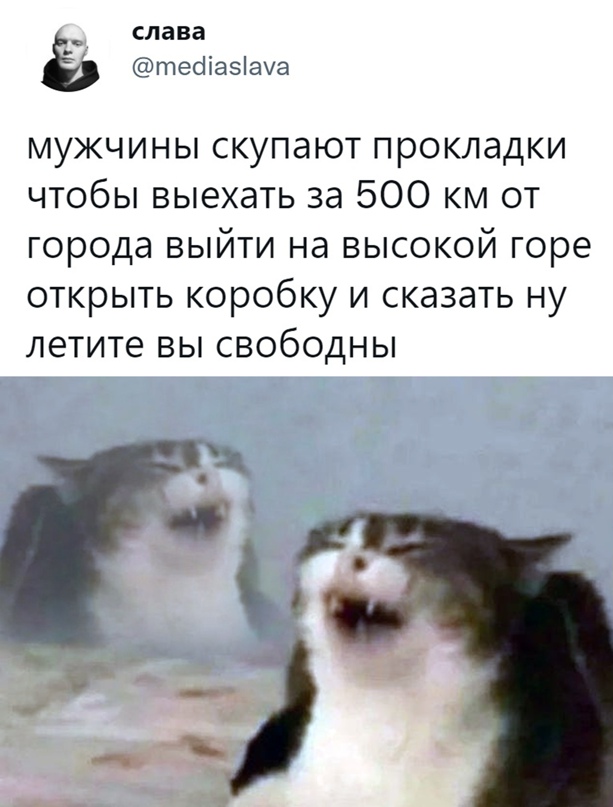 Весёлый полтишок 23.03.22