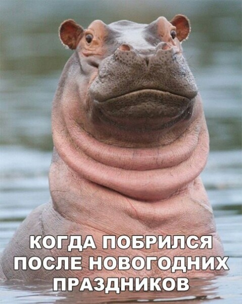 Так себе картинки 29.03.22