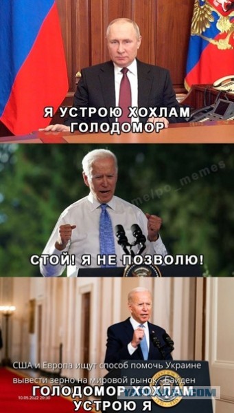 В ООН призвали Путина открыть порты в Черном море для вывоза пшеницы с Украины