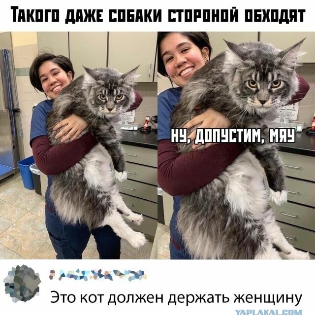 40 пятничных картинок разных 20.05.2022