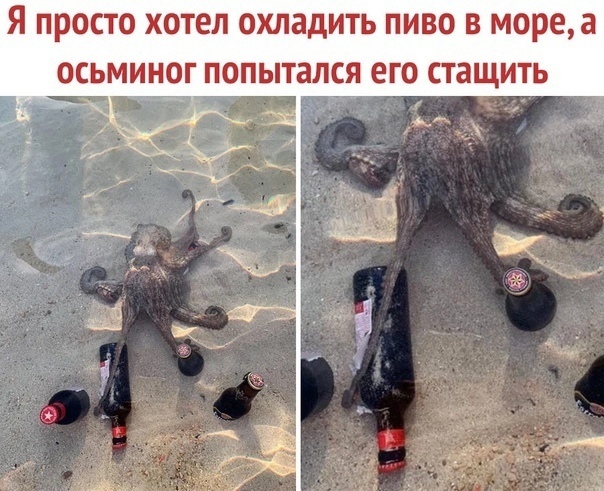 Картинки и мемы для настроения - 21