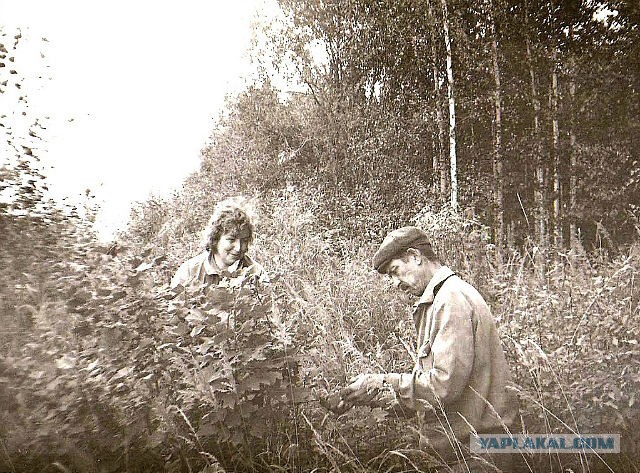 Вот моя деревня - 3