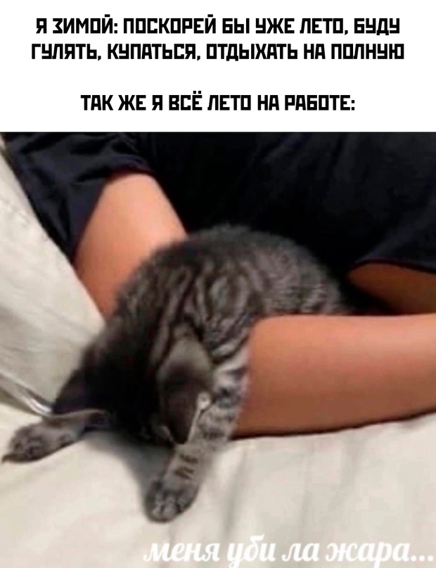 Картинки и мемы для настроения. Выходные рядышком...