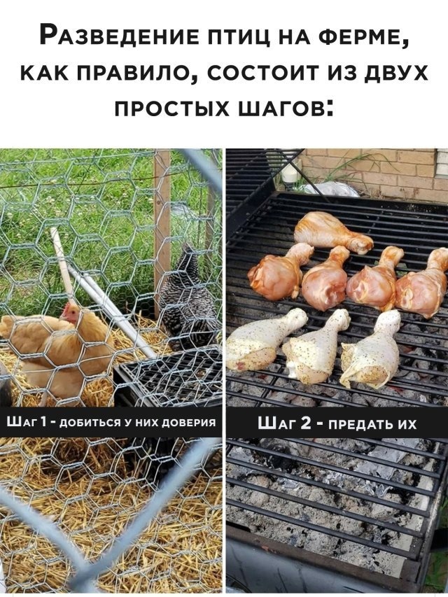 Так себе картинки 30.08.22