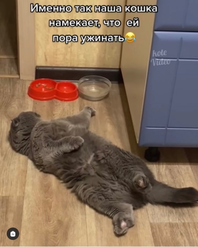 Картинки и мемы для настроения - 31