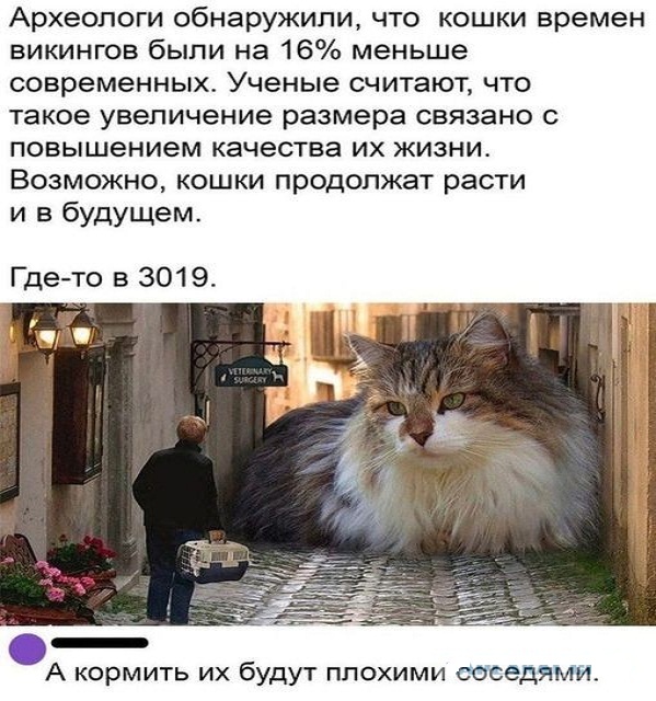 Картинки и мемы для настроения - 009