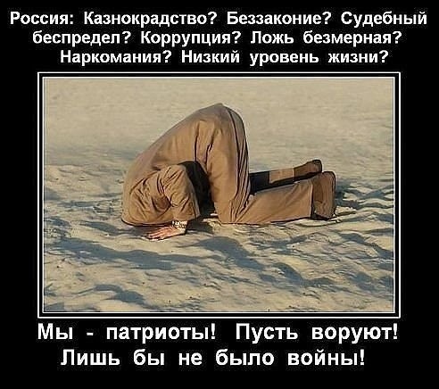 Россияне требуют мести