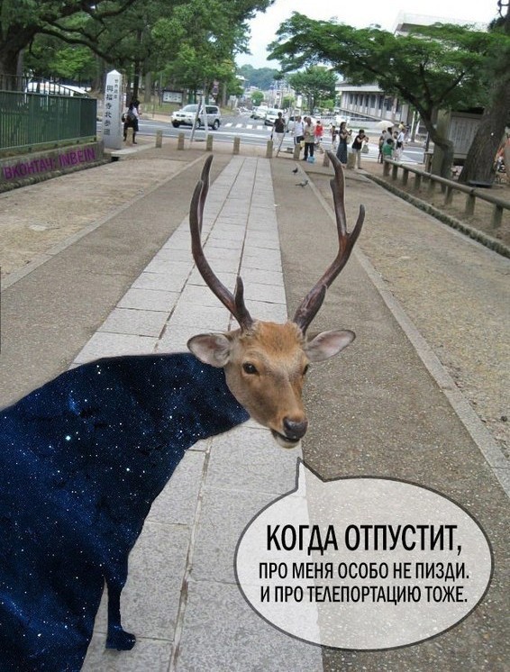 Учёный: законов физики на самом деле не существует...