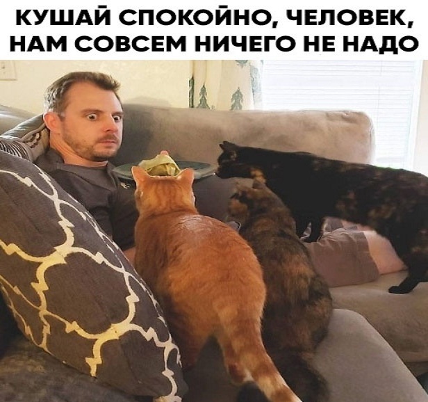 Немного картинок для настроения