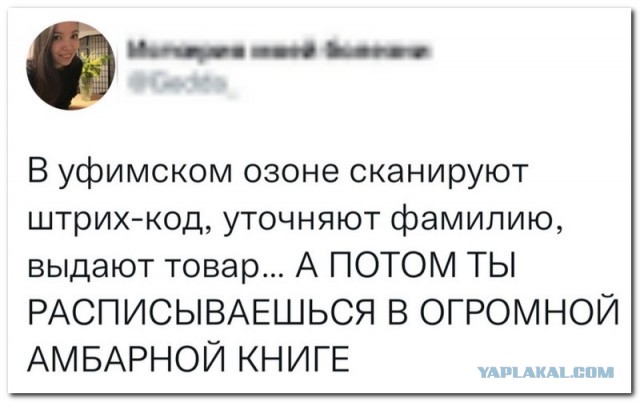 Забавные комментарии из социальных сетей (09.01.23)