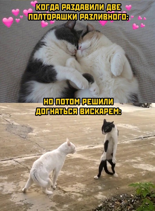 Картинки и мемы для настроения - 015