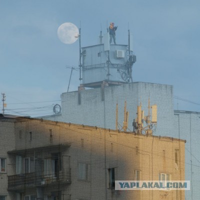 15 особо ярких моментов уличной фотографии, позволяющих взглянуть на окружение с другой стороны