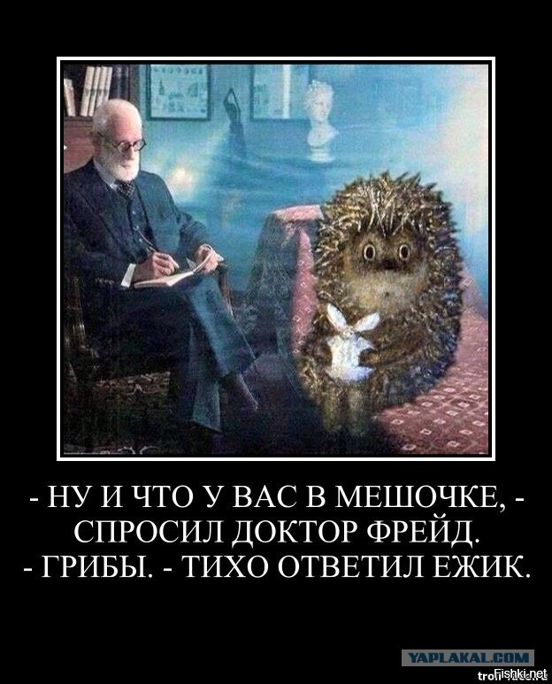Министерство обороны сообщило о поражении объединенного штаба группировки ВСУ «Бахмут»